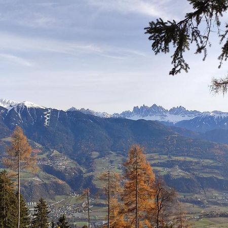 Masitterhof Villa Bressanone Dış mekan fotoğraf