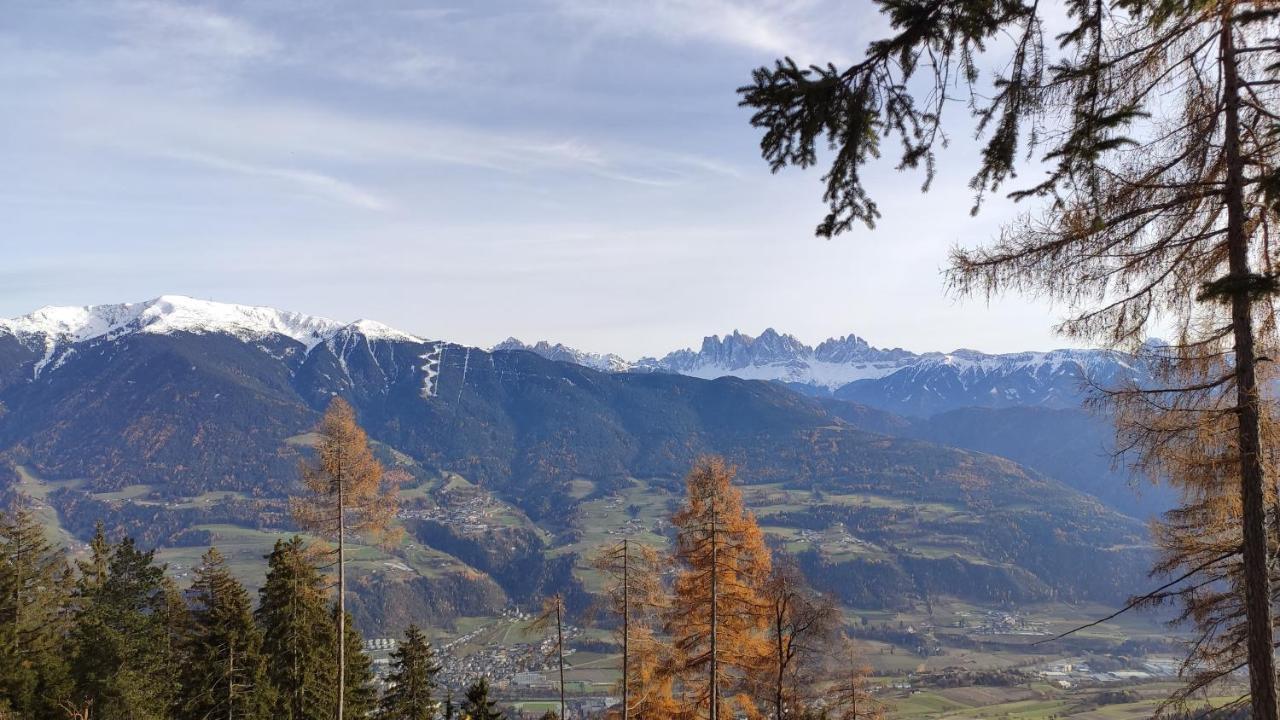 Masitterhof Villa Bressanone Dış mekan fotoğraf