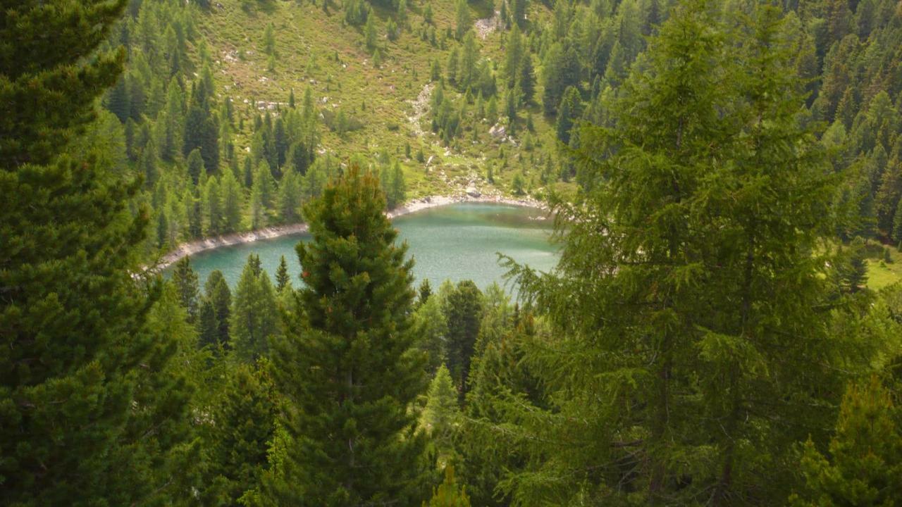 Masitterhof Villa Bressanone Dış mekan fotoğraf